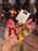 DLR/WDW - Disney Princess Keychain Set of 5