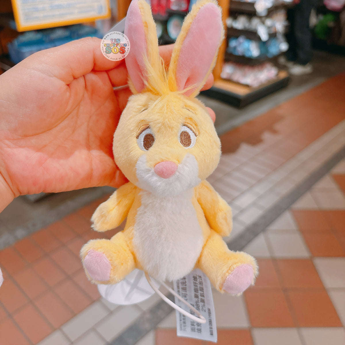 SHDL - Winnie the Pooh & Friends x Rabbit Plush Keychain