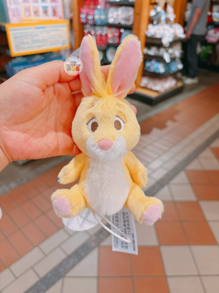 SHDL - Winnie the Pooh & Friends x Rabbit Plush Keychain