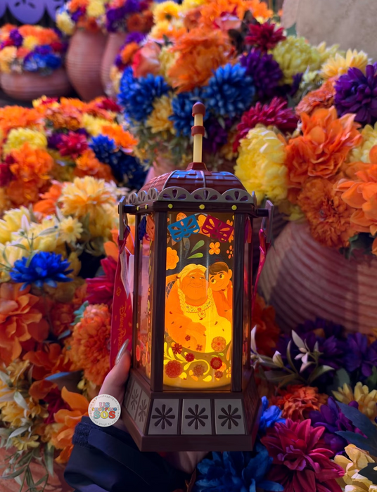 SHDL - 2026 Coco Themed Light Up Souvenir Cup