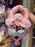 HKDL - 2026 Chip 'n' Dale Forest Fairies Collection x Chip Plushy 2 Ways Shoulder Bag
