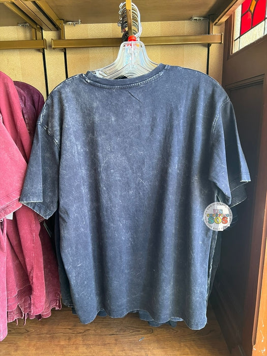 DLR/WDW - 2026 Walt Disney World 4-Park Icon Dark Grey Vintage Wash Tee (Adult)
