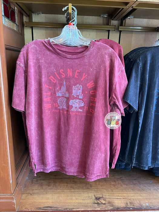 DLR/WDW - 2026 Walt Disney World 4-Park Icon Red Vintage Wash Tee (Adult)