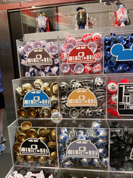 HKDL - Star War Build Your Own Droid