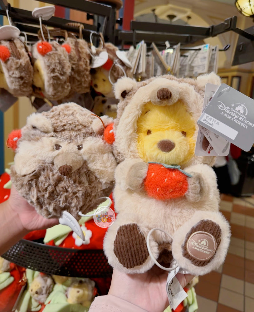 SHDL - 2026 Hedgehog Winnie the Pooh Collection x Reverible Plush Toy