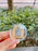 SHDL - "Happy Birthday to Donald Duck’  Souvenir Coin