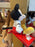 HKDL - Love Hong Kong Disneyland 2026 - Mickey Shoulder Plush Toy