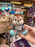 HKDL - 20th Anniversary Grand Celebration - Chip Shoulder Plush Toy