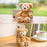 TDR - Duffy One Lovely Day Collection x Smartphone & PlayCharm Plush Toy  (Release Date: Jun 3, 2025)