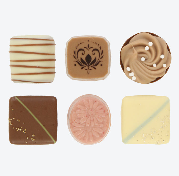 TDR - Fantasy Springs Anna & Elsa Frozen Journey Collection x Assorted Chocolate Box Set