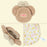 TDR - 2026 Duffy & Friends "Wonders by Your Side" Collection x ShellieMay Face Shaped Pouch (Release Date: Jun 2, 2026)