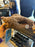 Universal Studios - The Wizarding World of Harry Potter - Monster Book of Monsters Plush Hand Puppet