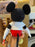 HKDL - Love Hong Kong Disneyland 2026 - Mickey Plush Toy