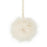 TDR - 2026 Disney Christmas Mickey Christmas Fairy "Lil Lin Lin" x Knit Beanie with Pom Pom for Adults (Release Date: Nov 10, 2026)