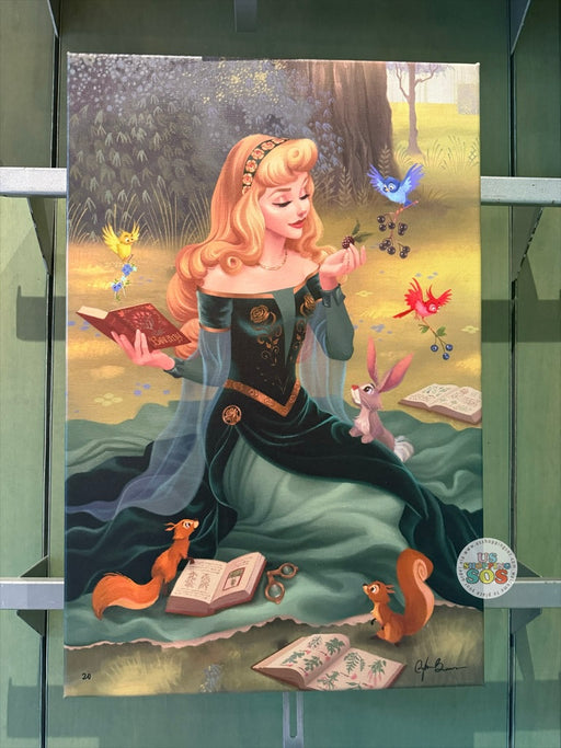 DLR/WDW - Disney Art 2026 - Aurora “I Wonder” by Dylan Bonner