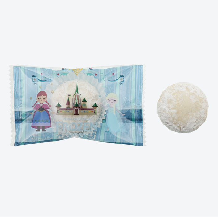 TDR - Fantasy Springs Anna & Elsa Frozen Journey Collection x Cookies Box Set