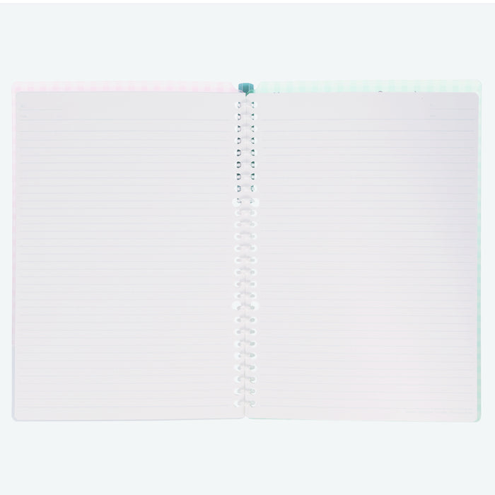 TDR - Tokyo Disney Resort "Park Map Motif" Pastel Color Collection - Camous Blinder (Release Date: Dec 11, 2025)