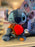 DLR/WDW - Stitch Attacks Snacks Limited Released Plush Toy - 9/12 Candy Apple