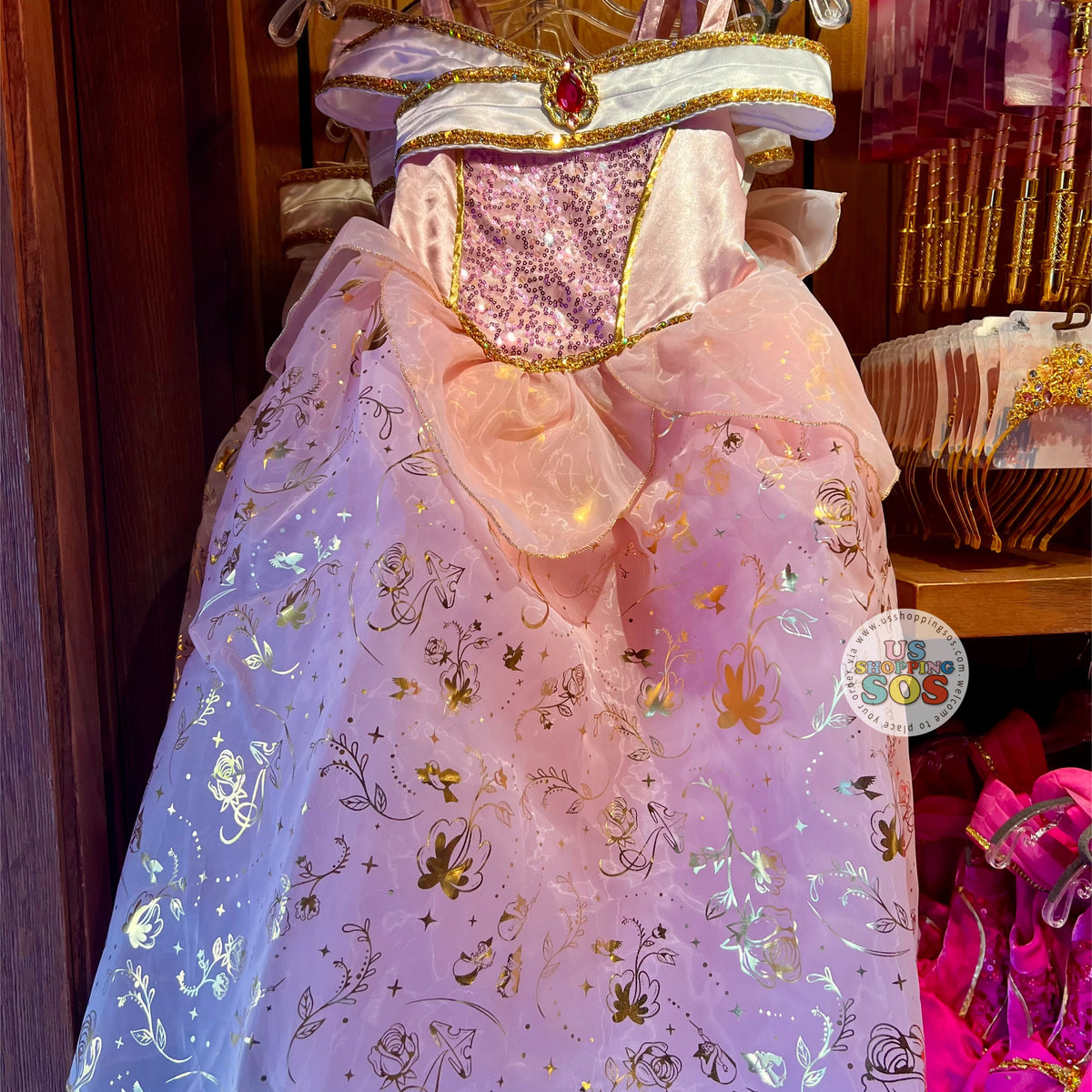 open lace back dress DLR/WDW - Disney Princess