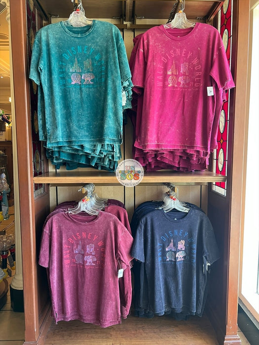 DLR/WDW - 2026 Walt Disney World 4-Park Icon Red Vintage Wash Tee (Adult)