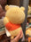 HKDL - Dreamy Afternoon x Winnie the Pooh Plush Toy
