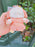 SHDL - 2026 Duffy and Friends Little Nature Explorer Raincoat x CookieAnn Plush Keychain