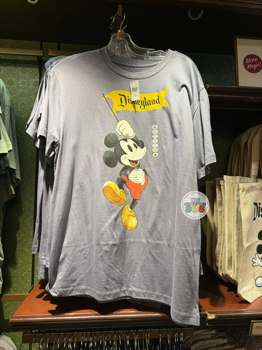 DLR/WDW - Mickey Mouse Park Logo Flag Blue Grey Graphic Tee (Adult)