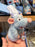 DLR/WDW - Ratatouille Remy Shoulder Plush Toy