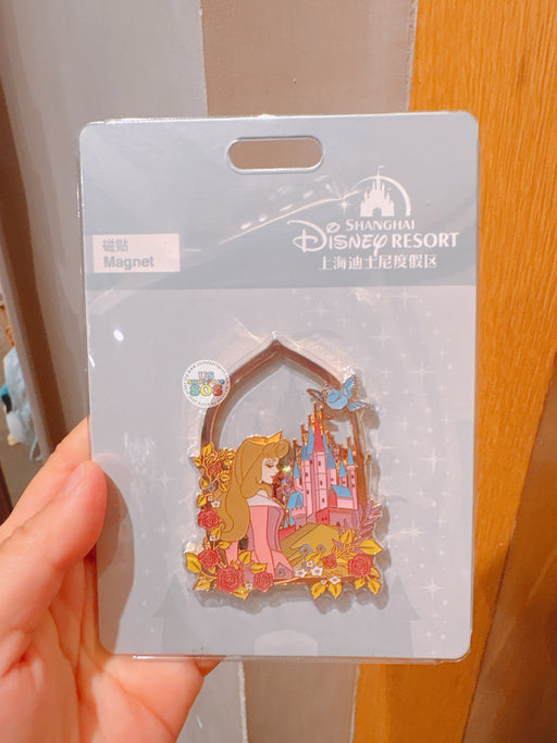 SHDL - Disney Princess Liquid Glitter Magnet x Princess Aurora