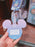 SHDL - 2026 Disney Characters 10th Birthday Celebration Collection x Luggage Tag