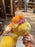 HKDL - 2026 Winnie the Pooh Hunny Quest Collection x Ear Headband