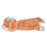 JDS - Nana The Dog Plush Shapes Pencil Case and Pen Case (Release Date: July 1, 2025)
