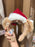 HKDL - 2025 Duffy and Friends Christmas Party x Duffy Christmas Headband