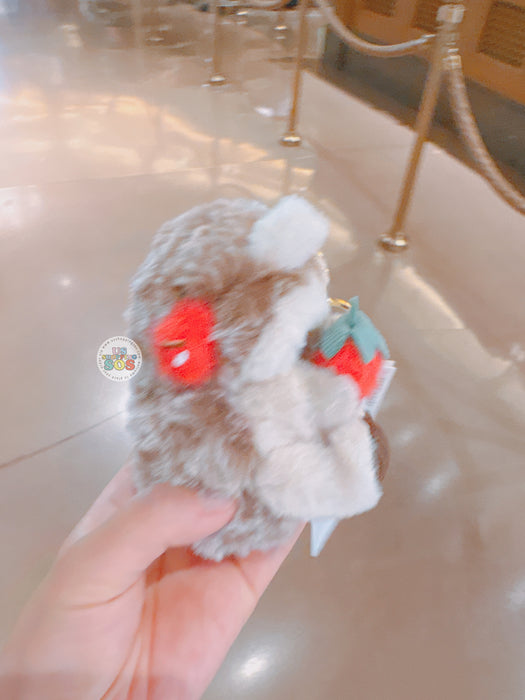 SHDL - 2026 Hedgehog Winnie the Pooh Collection x Reverible Plush Keychain