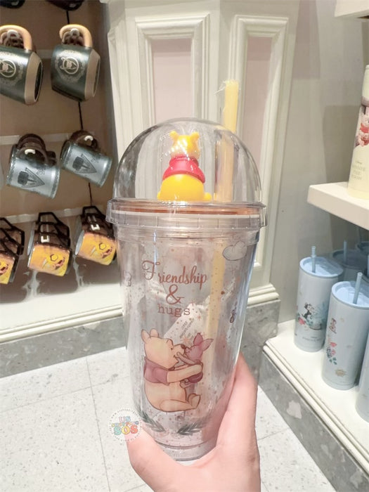 HKDL - Winnie the Pooh & Piglet with 3D Figure Double Wall Cold Cup