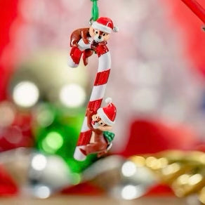 Straws Holiday and Christmas Decorations Candy Cane Straws Holiday