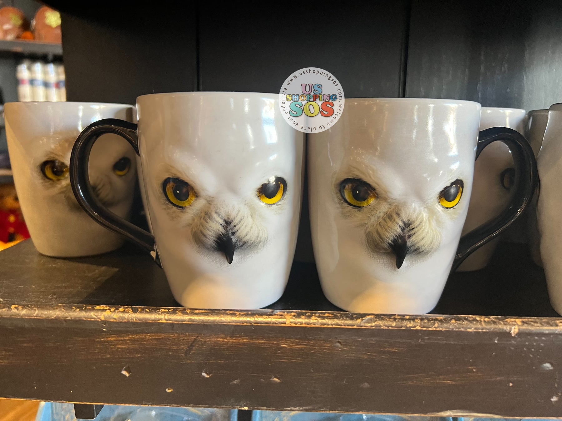 Universal Studios - The Wizarding World of Harry Potter - Owl Hedwig Big Face Mug