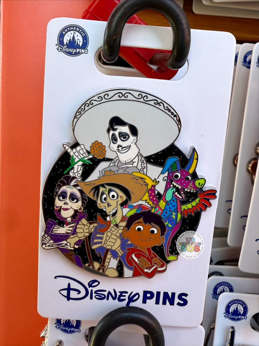 DLR/WDW - Character Cluster Series 2025 Coco Pin
