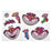 JDS - 2026 Sticker Collection x Cheshire Cat & Momerus Kyorokyoro Seal Sticker