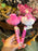 DLR/WDW - Alice in Wonderland - Cheshire Cat Face Icon Plush Pen