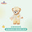 SHDL - 2026 Jelly Summer Duffy & Friends Collection x Duffy Plush Toy
