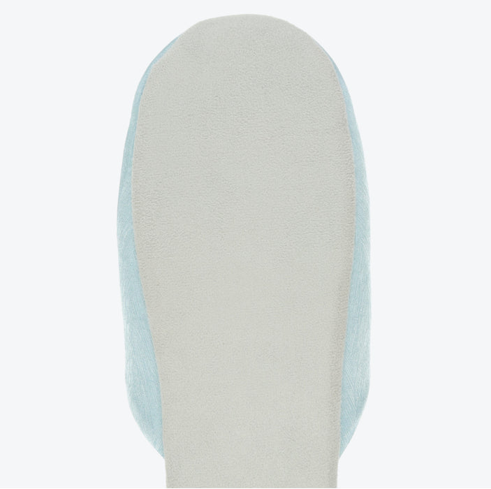 TDR - Fantasy Springs Anna & Elsa Frozen Journey Collection x Mat & Room Shoes Set