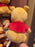 HKDL - Winnie the Pooh Plush Toy