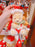 SHDL - 2026 LadyBug Winnie the Pooh Collection x Plush Keychain