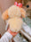 SHDL - 2026 Duffy & Friends x CookieAnn Holding ‘Flower Bouquet’ Plush Toy