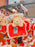 SHDL - 2026 LadyBug Winnie the Pooh Collection x Fluffy Passholder