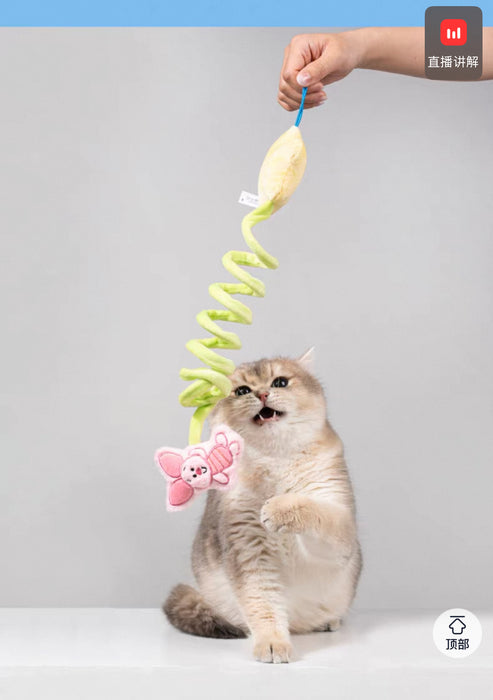 China Exclusive - Winnie the Pooh Cat Toy, Hangable and Interactive