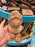Jellycat - Amuseables Peanut Yeti Costume Plush Toy