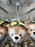 DLR/WDW - Aulani Duffy and Friends Summer Time 2026 - Duffy Packable Tote