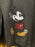 DLR/WDW - Spirit Jersey Classic Mickey Sequin Park Logo Black Pullover (Adult)